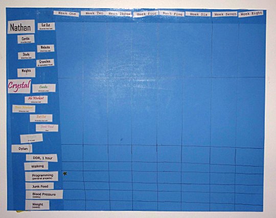 The 8 Week Plan