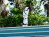 Stormtroopers watching the entrance to the park