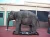 Elephant model from the Backlot Tours ride