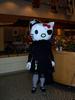 Yarr! Kitty