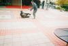 Martial Arts Demonstration